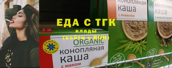тгк Инсар