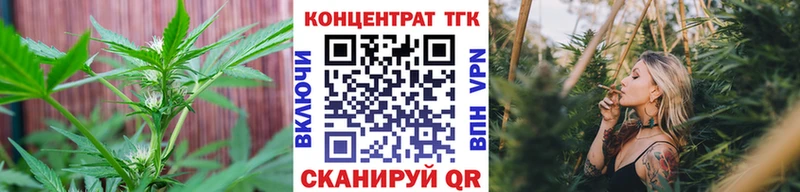 купить  сайты  Советск  Дистиллят ТГК THC oil 