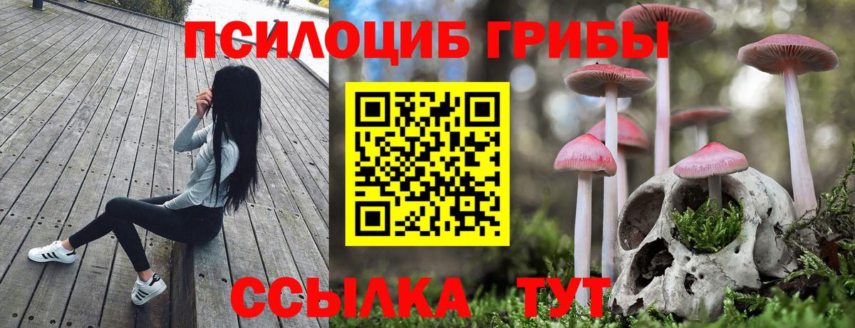 Галлюциногенные грибы мухоморы  Вход с VPN  купить  цена  Советск 
